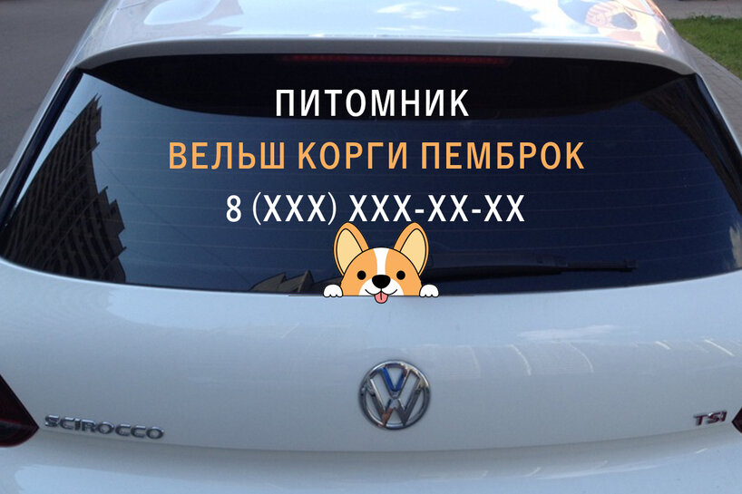 na-avto-pitomnik-x545-0df.jpg