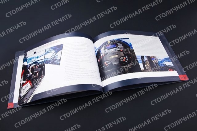 phoca_thumb_l_dsc_5308.jpg