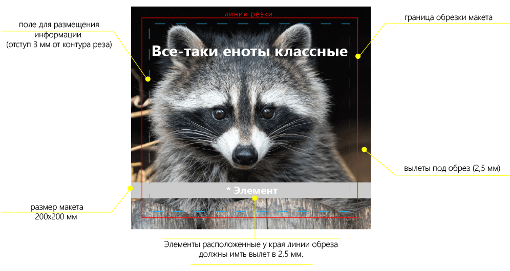 imagesprepare-maket-to-print.png